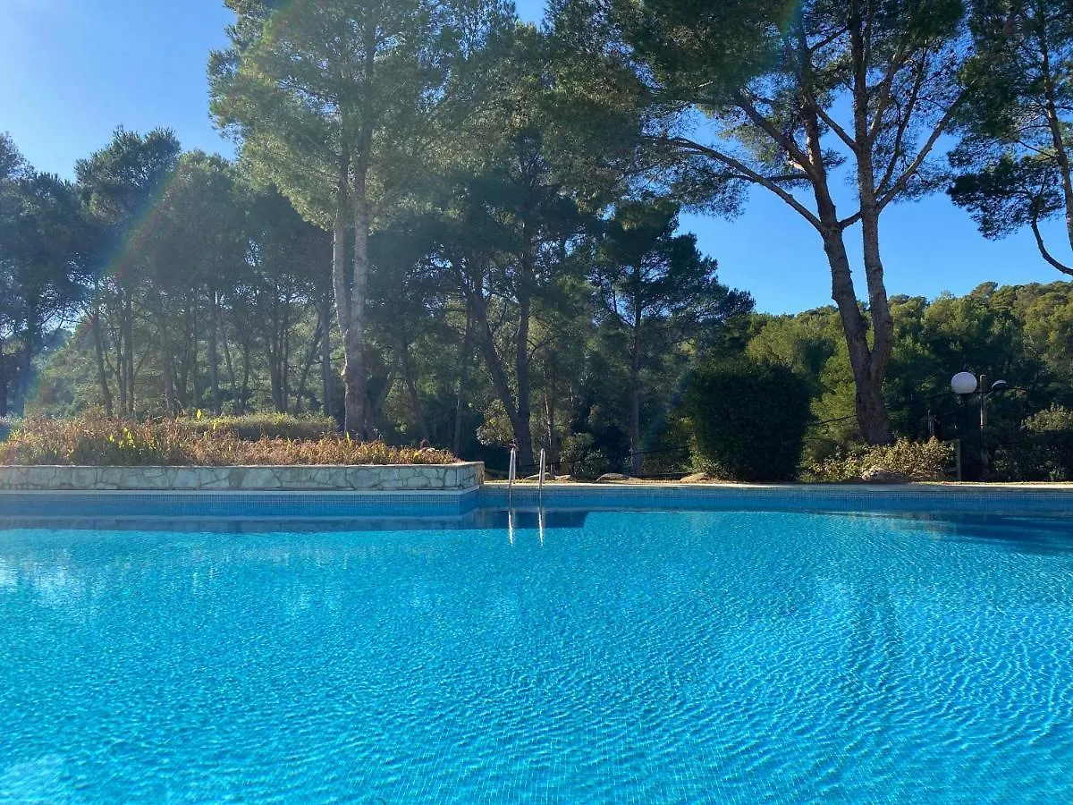 Apartment Acogedor Apartamento Con Piscina En Tamariu